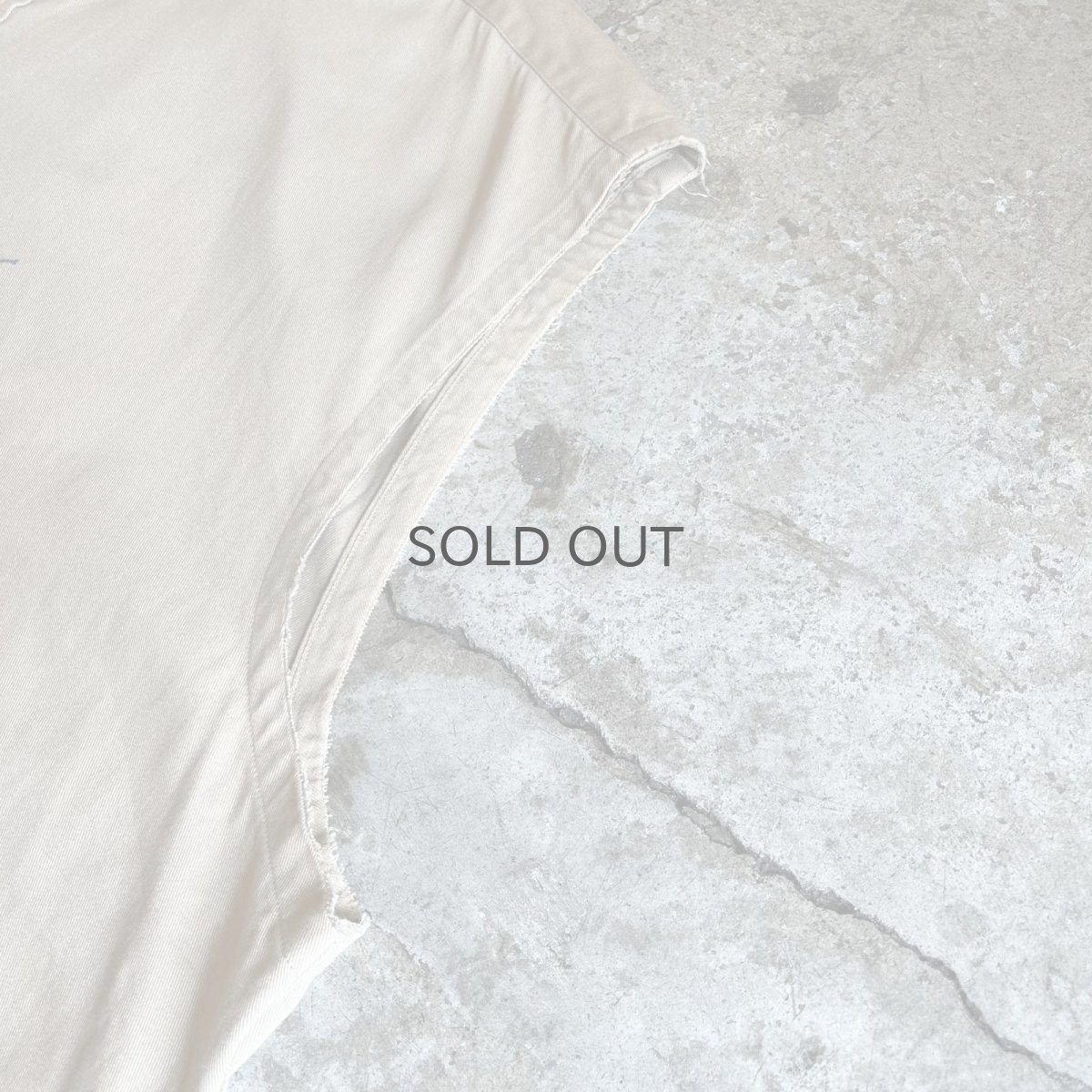 画像6: 【RALPH LAUREN】BEIGE COLOR OVER SILHOUETTE DESIGN N/S TOPS / Ladies 2XL (6)