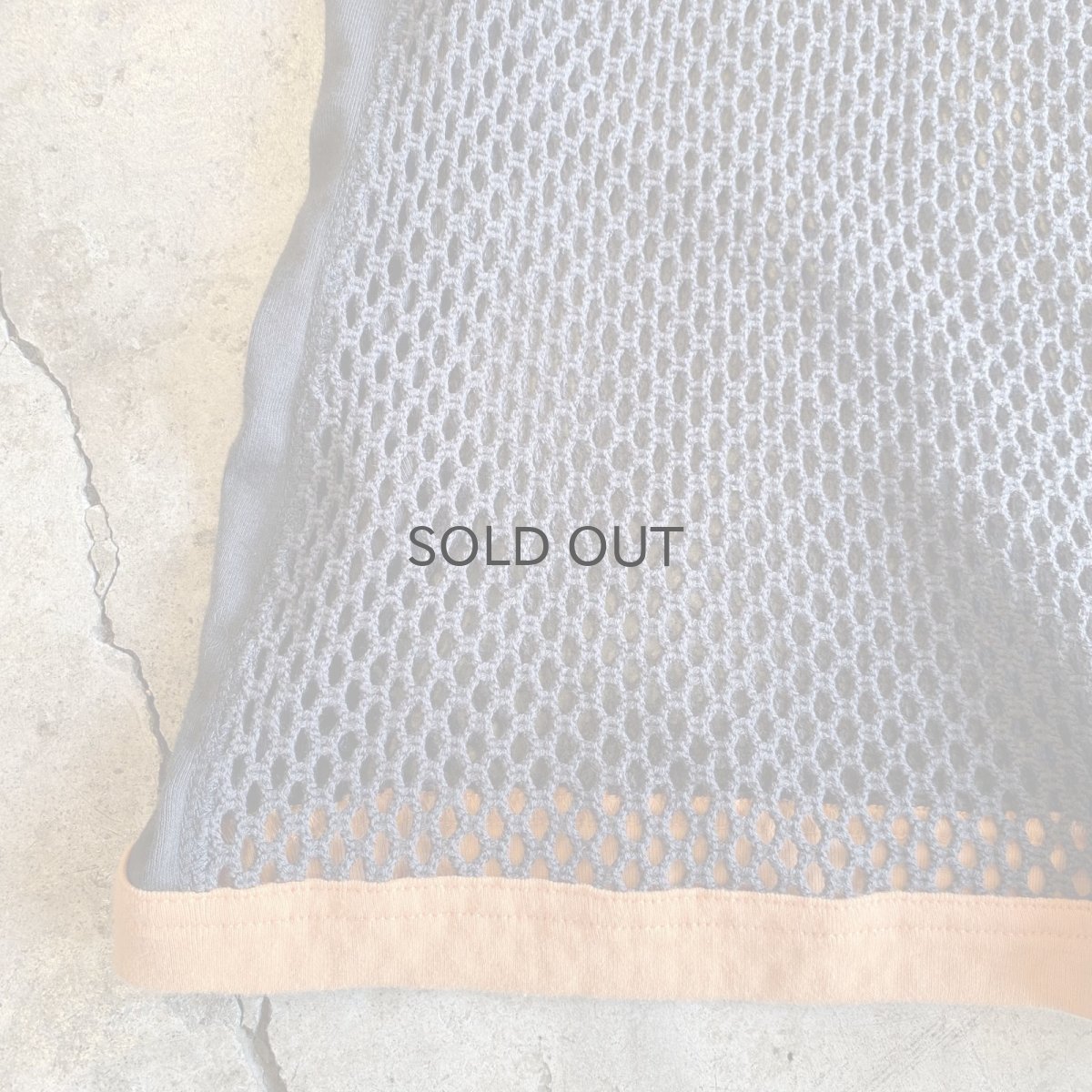 画像6: SIDE LINE POINT COLOR MESH SKIRT / FREE~W36 (6)