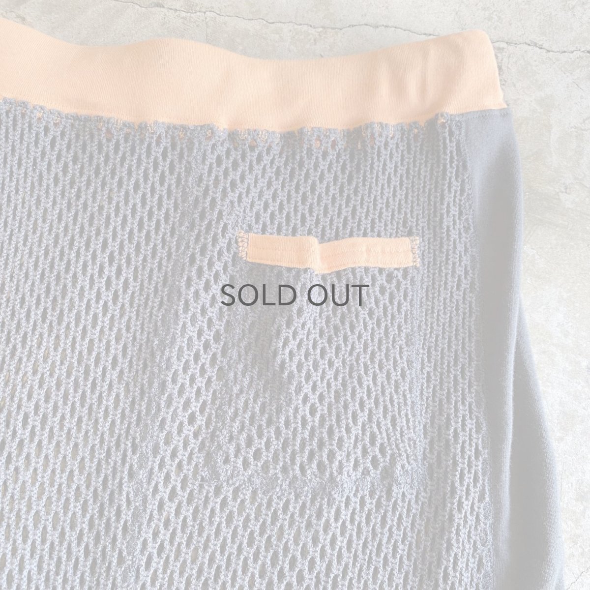 画像9: SIDE LINE POINT COLOR MESH SKIRT / FREE~W36 (9)