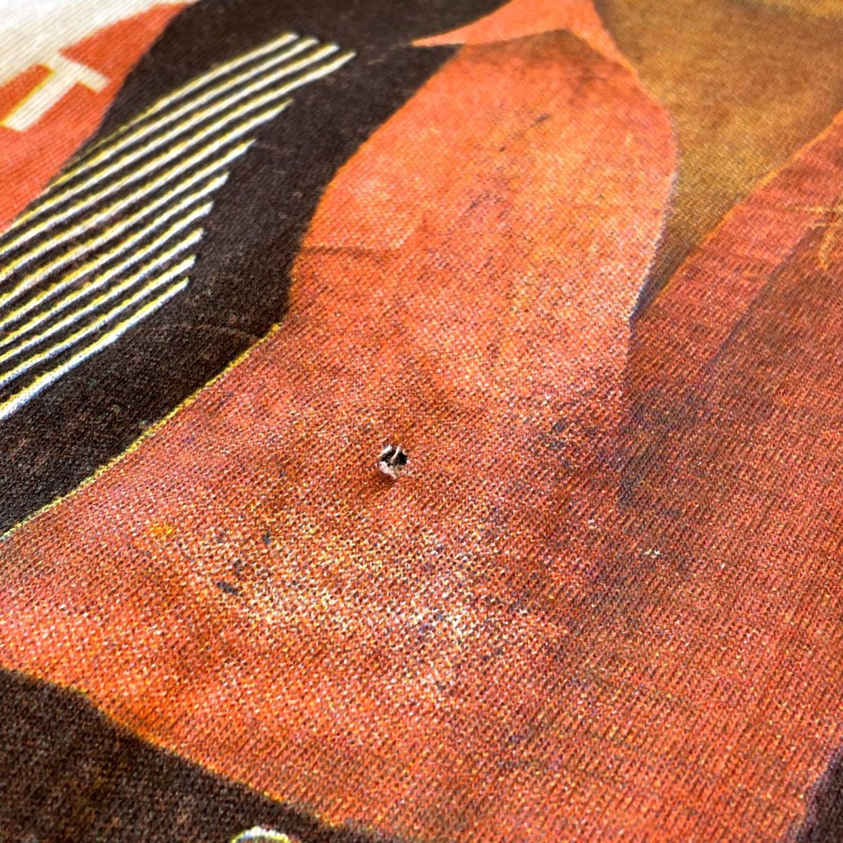 画像10: FRONT PRINTED COLOR SWITCHED S/S TEE / Mens XL (10)