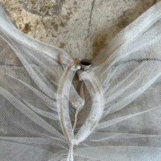画像11: GATHER DESIGN TULLE SHEER S/S TOPS / Ladies M (11)