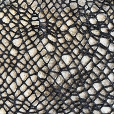 画像10: BLACK COLOR MESH DESIGN S/S TOPS / Ladies L (10)