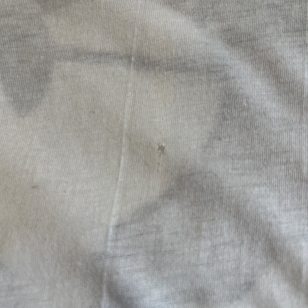 画像10: "SNOOPY" COLOR PRINT CHARACTER S/S TEE / Ladies M  (10)