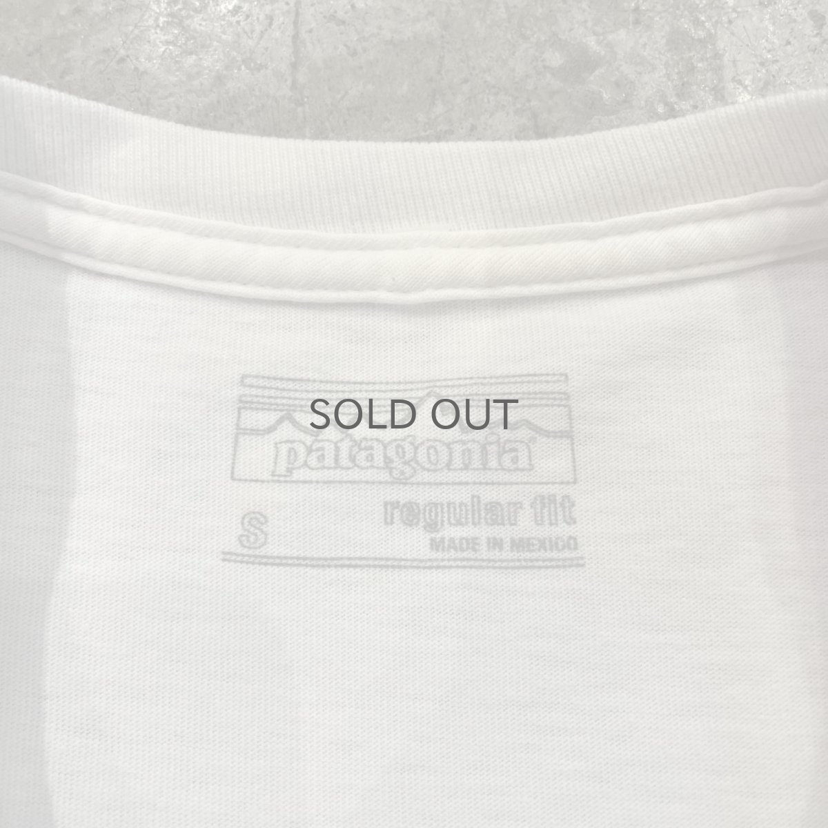 画像10: 【PATAGONIA】LOGO BOTH SIDES PRINTED DESIGN S/S TEE / Ladies M(S)  (10)