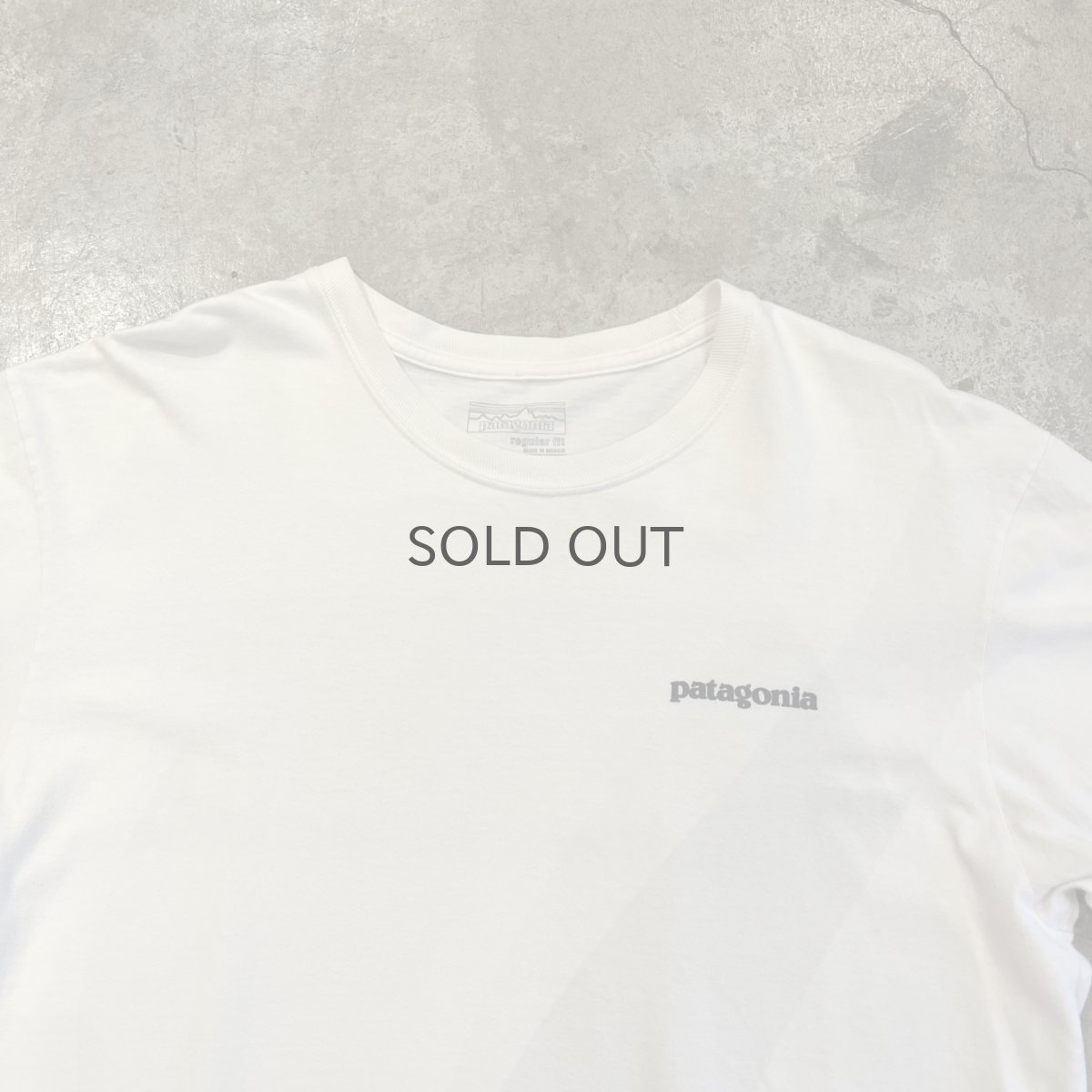 画像5: 【PATAGONIA】LOGO BOTH SIDES PRINTED DESIGN S/S TEE / Ladies M(S)  (5)