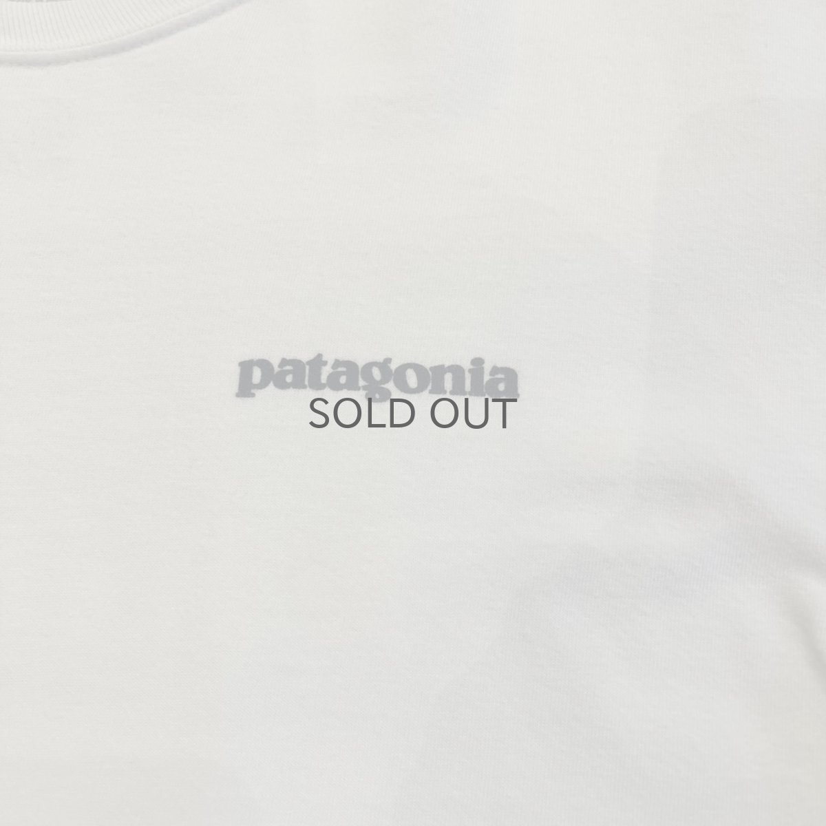 画像6: 【PATAGONIA】LOGO BOTH SIDES PRINTED DESIGN S/S TEE / Ladies M(S)  (6)