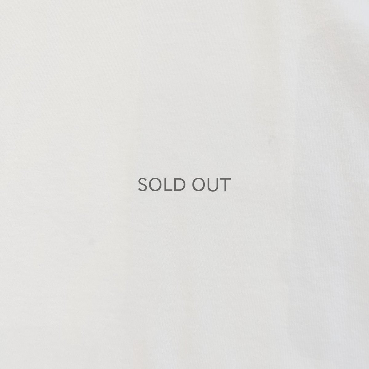 画像9: 【PATAGONIA】LOGO BOTH SIDES PRINTED DESIGN S/S TEE / Ladies M(S)  (9)