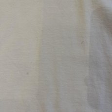 画像9: 【PATAGONIA】LOGO BOTH SIDES PRINTED DESIGN S/S TEE / Ladies M(S)  (9)