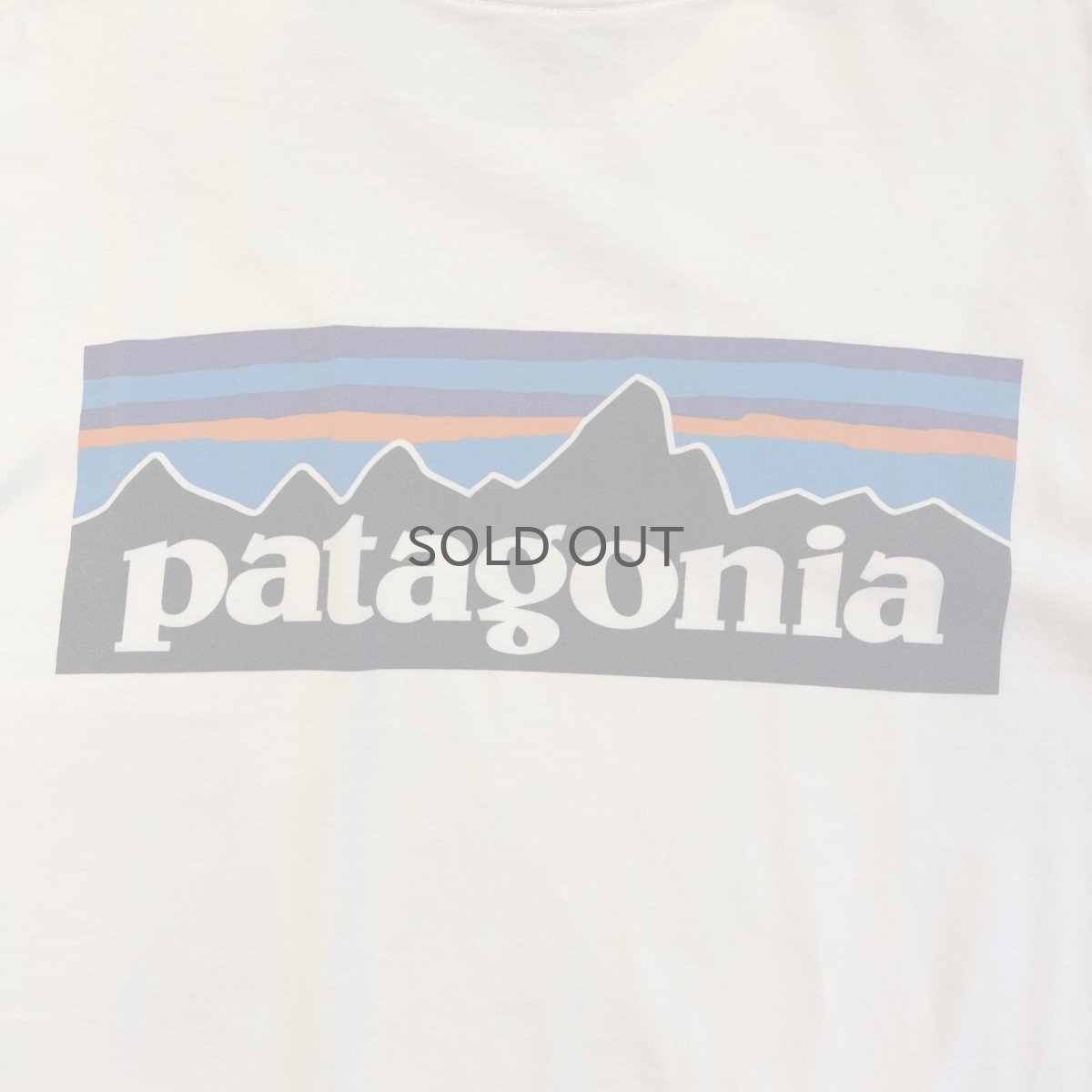 画像8: 【PATAGONIA】LOGO BOTH SIDES PRINTED DESIGN S/S TEE / Ladies M(S)  (8)