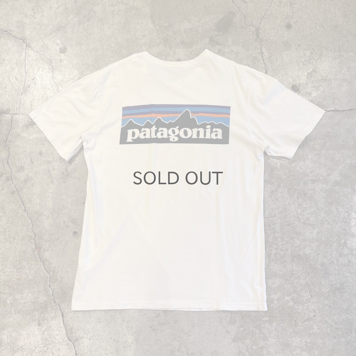 画像2: 【PATAGONIA】LOGO BOTH SIDES PRINTED DESIGN S/S TEE / Ladies M(S)  (2)