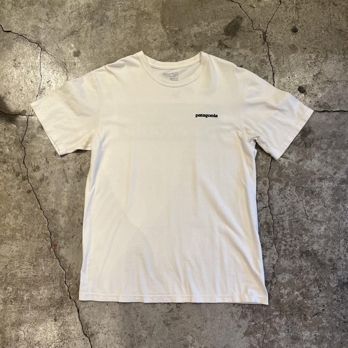 画像1: 【PATAGONIA】LOGO BOTH SIDES PRINTED DESIGN S/S TEE / Ladies M(S)  (1)