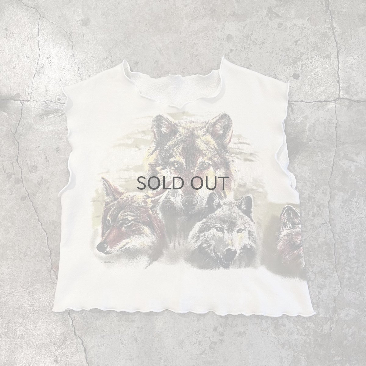 画像1: BOTH SIDES WOLF PRINTED DESIGN N/S SWEAT TOPS / Ladies L (1)