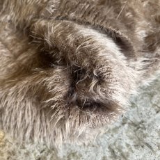 画像5: WALNUT COLOR V NECK DESIGN SHAGGY KNIT L/S TOPS / Ladies M (5)