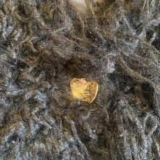 画像5: BLACK COLOR FAUX FUR DESIGN SHORT JACKET / Ladies M (5)