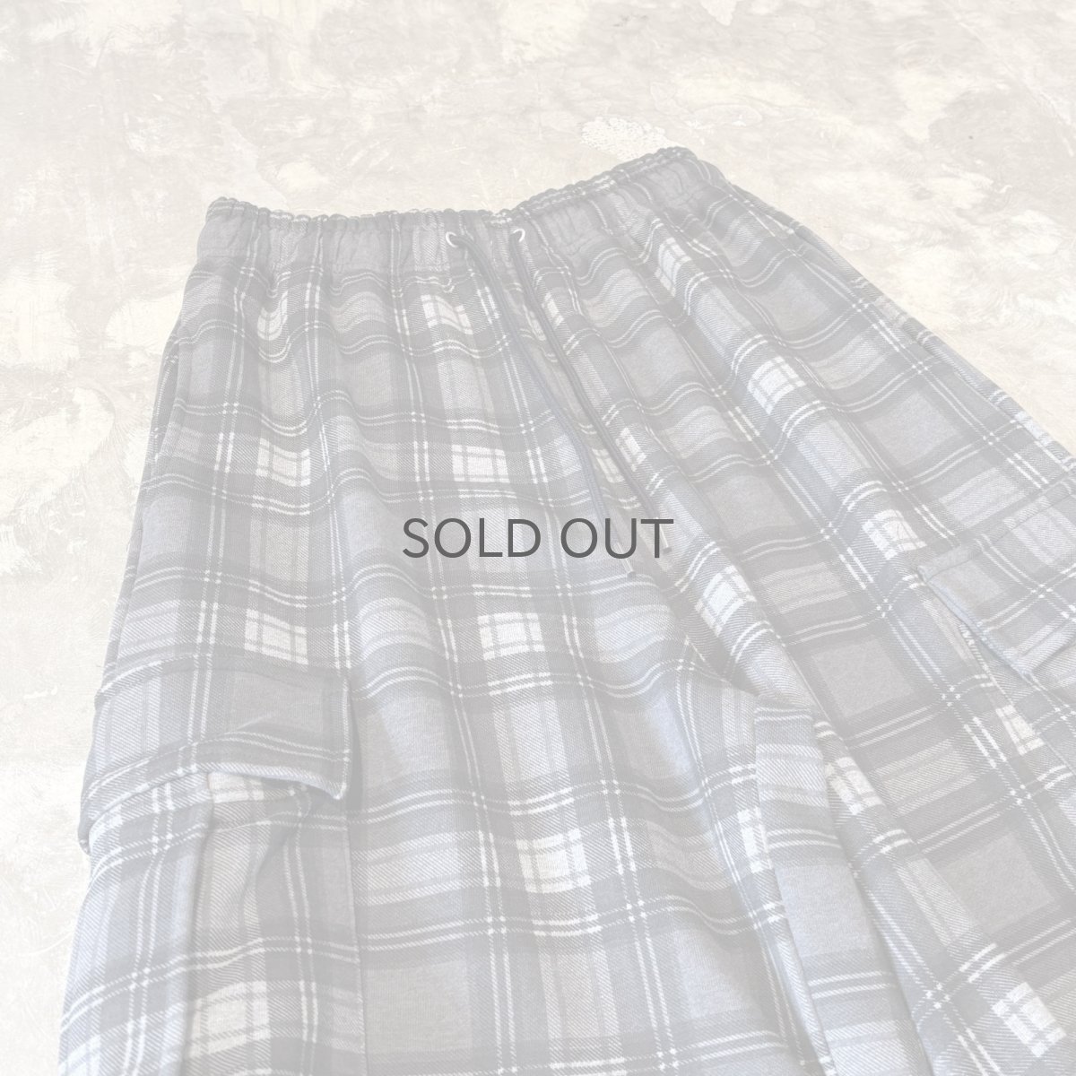 画像3: 【WONDERGROUND】ALL OVER CHECK PATTERN CARGO PANTS / OS (3)