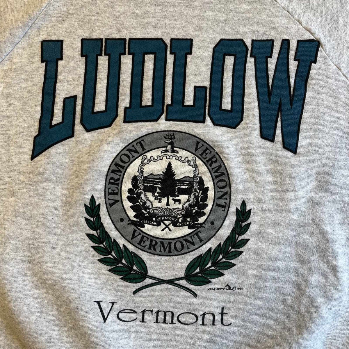 画像11: 90's FRONT "VERMONT" DESIGN COLOR PRINTED L/S SWEAT / Ladies L / MADE IN USA (11)