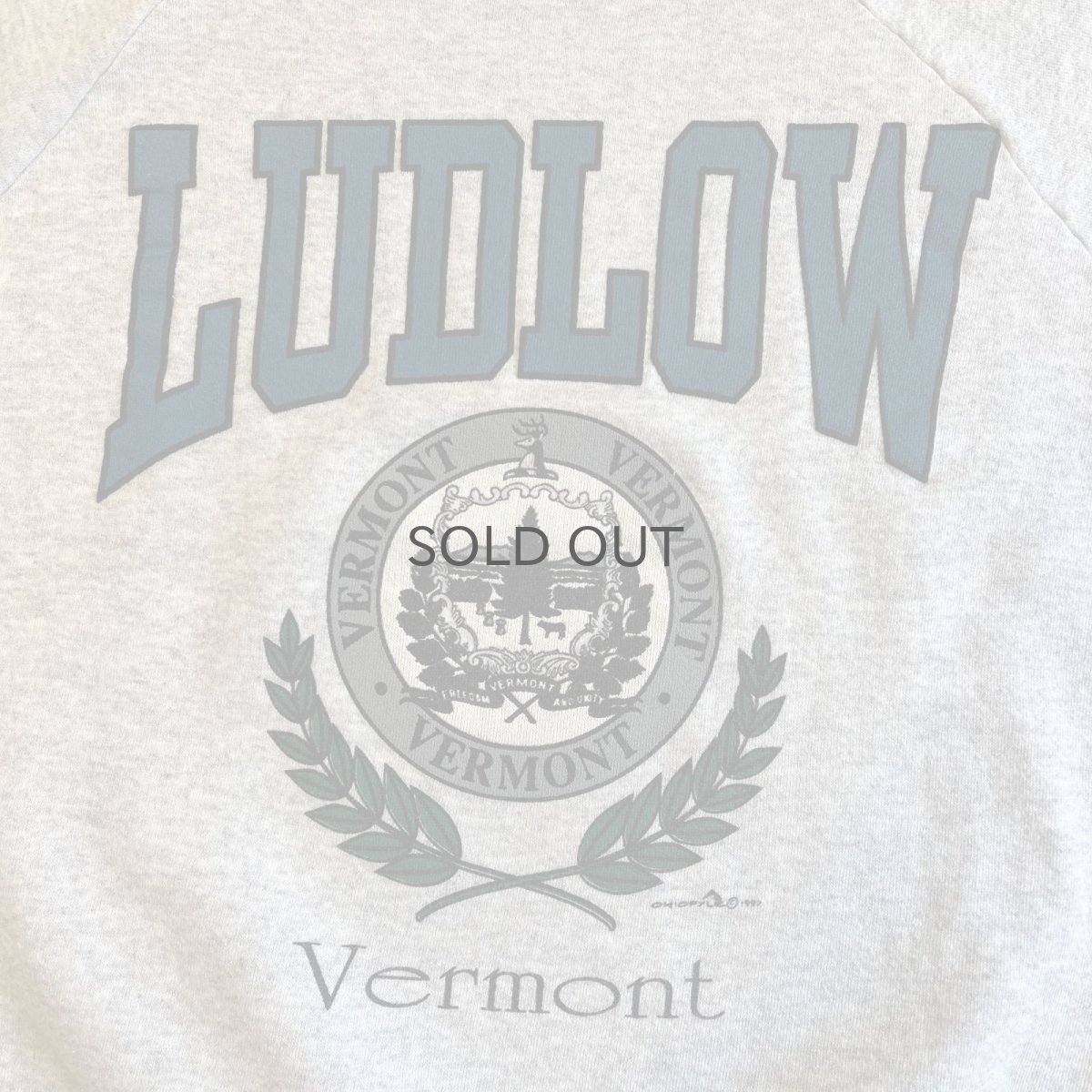 画像11: 90's FRONT "VERMONT" DESIGN COLOR PRINTED L/S SWEAT / Ladies L / MADE IN USA (11)