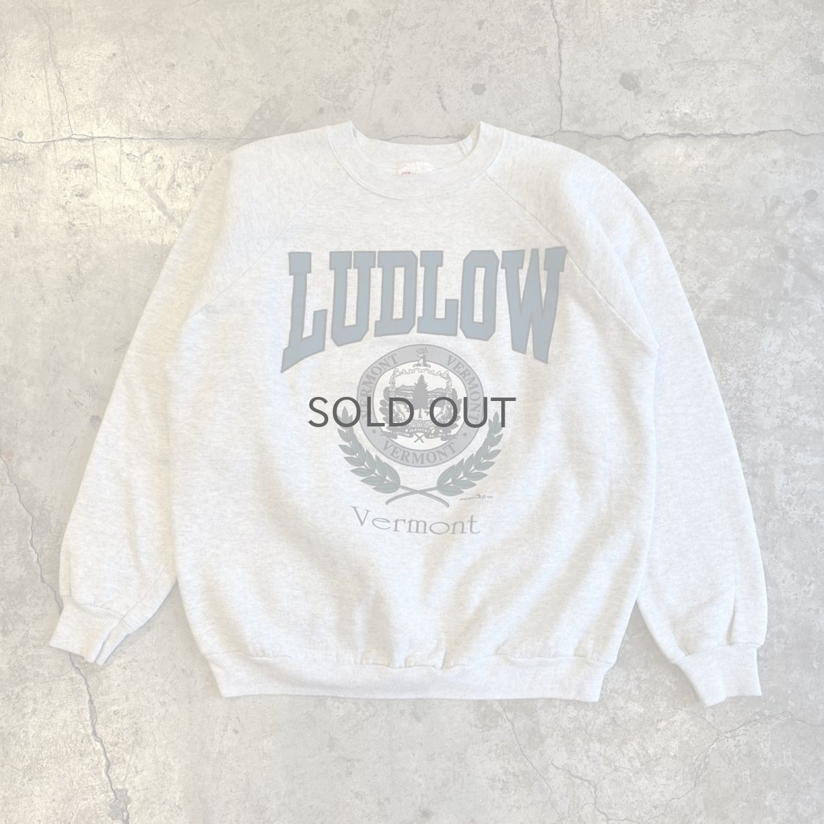 画像1: 90's FRONT "VERMONT" DESIGN COLOR PRINTED L/S SWEAT / Ladies L / MADE IN USA (1)