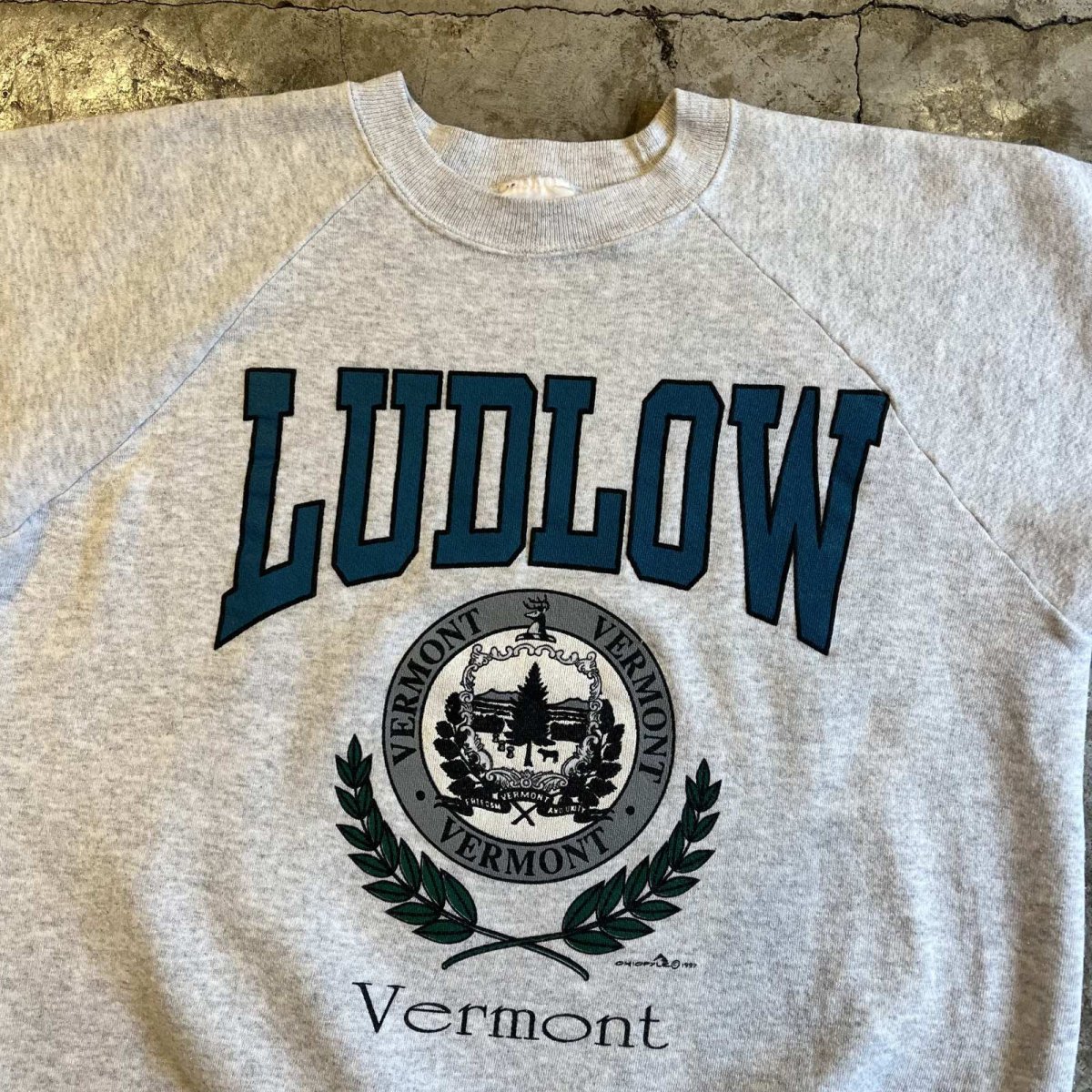 画像8: 90's FRONT "VERMONT" DESIGN COLOR PRINTED L/S SWEAT / Ladies L / MADE IN USA (8)