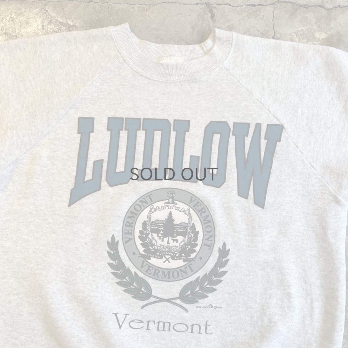 画像8: 90's FRONT "VERMONT" DESIGN COLOR PRINTED L/S SWEAT / Ladies L / MADE IN USA (8)