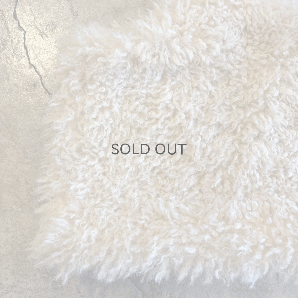 画像4: IVORY COLOR  DESIGN BOA FUR CAMISOLE / Ladies M (4)