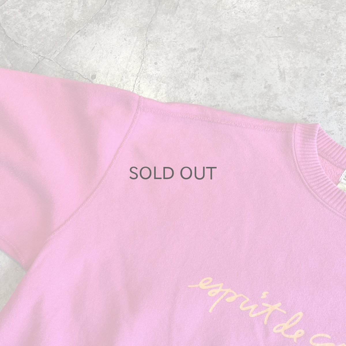 画像10: 【ESPRIT】FRONT LOGO PRINTED DESIGN COLOR L/S SWEAT / Ladies L  (10)