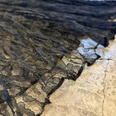 画像9: BLACK COLOR LACE DESIGN PLEATS LONG SKIRT / W23~W33 / MADE IN USA (9)