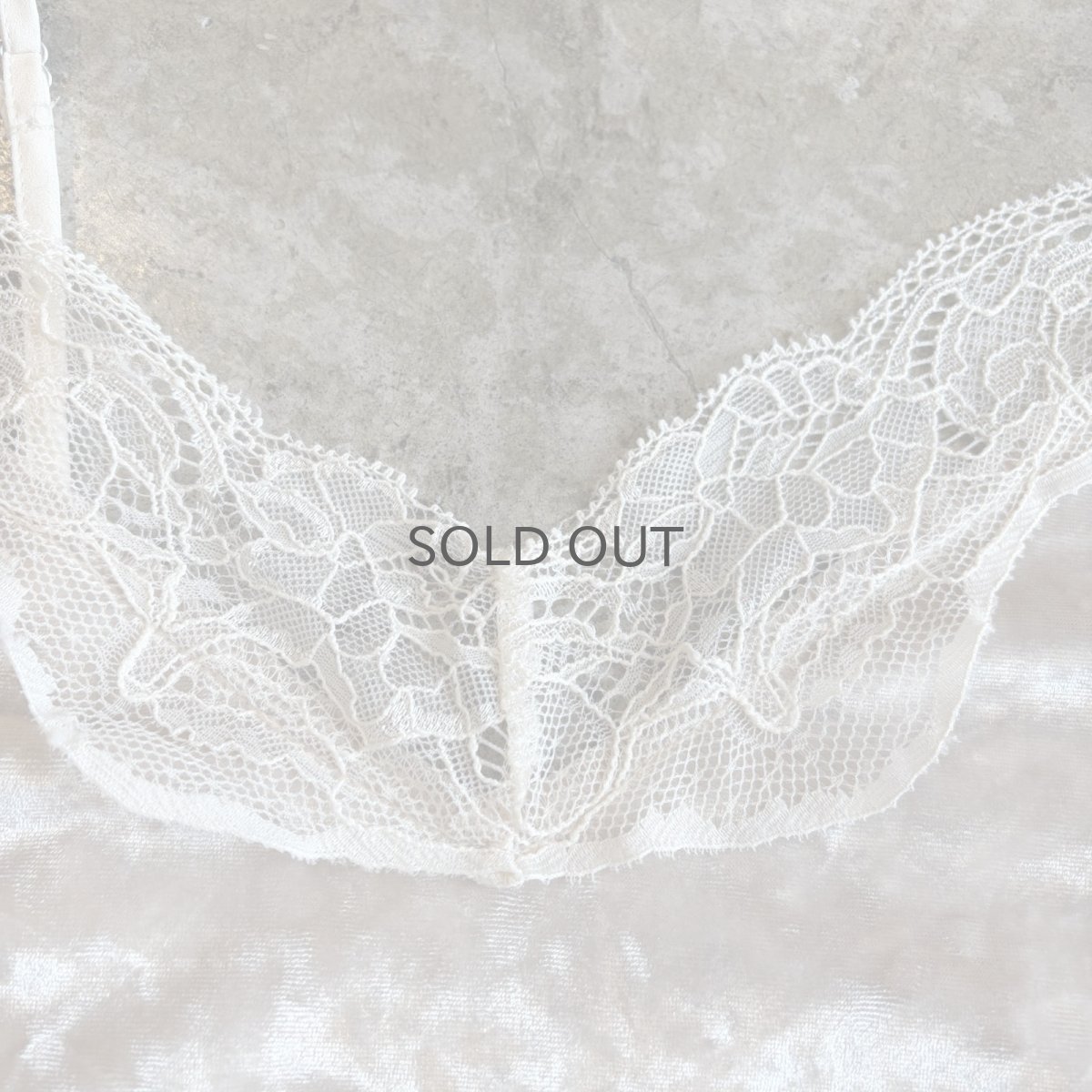 画像5: POINT LACE VELVET DESIGN CAMISOLE / Ladies L (5)
