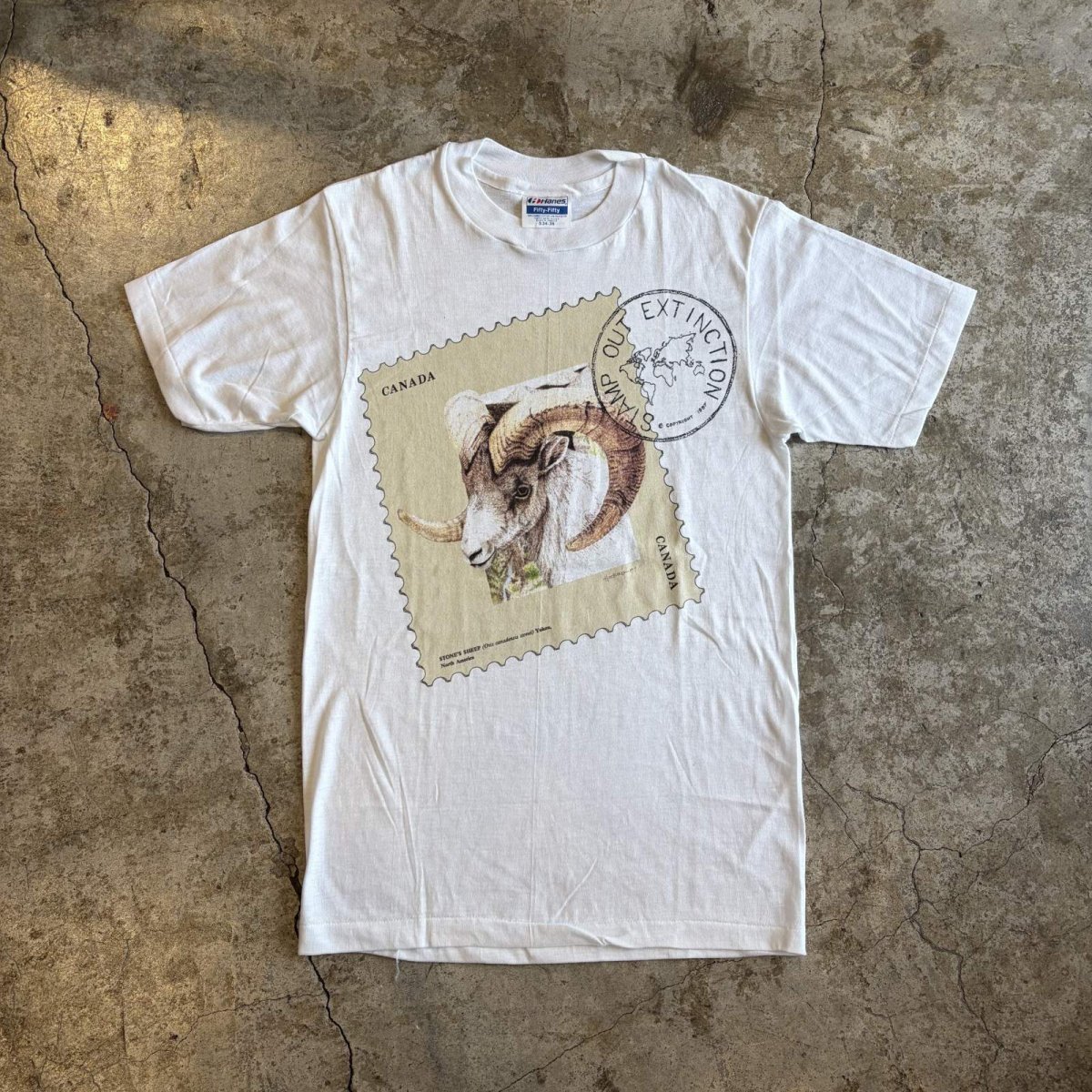画像1: STONE'S SHEEP ANIMAL FRONT PRINTED S/S TEE / Ladies S (1)