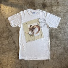 画像1: STONE'S SHEEP ANIMAL FRONT PRINTED S/S TEE / Ladies S (1)