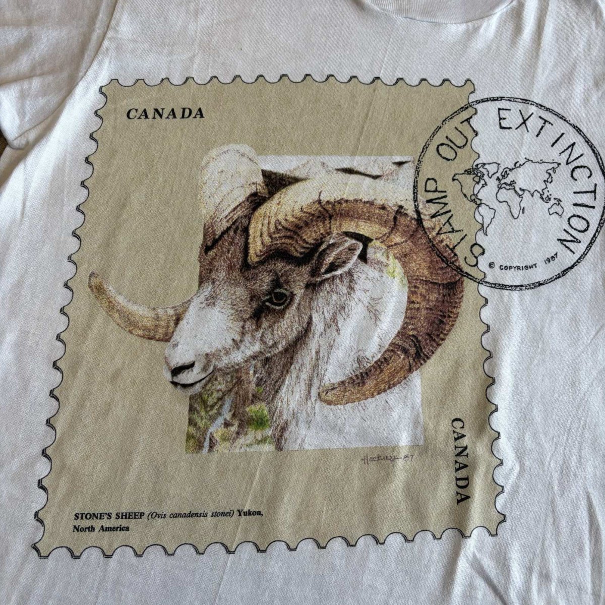 画像4: STONE'S SHEEP ANIMAL FRONT PRINTED S/S TEE / Ladies S (4)