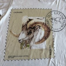 画像4: STONE'S SHEEP ANIMAL FRONT PRINTED S/S TEE / Ladies S (4)