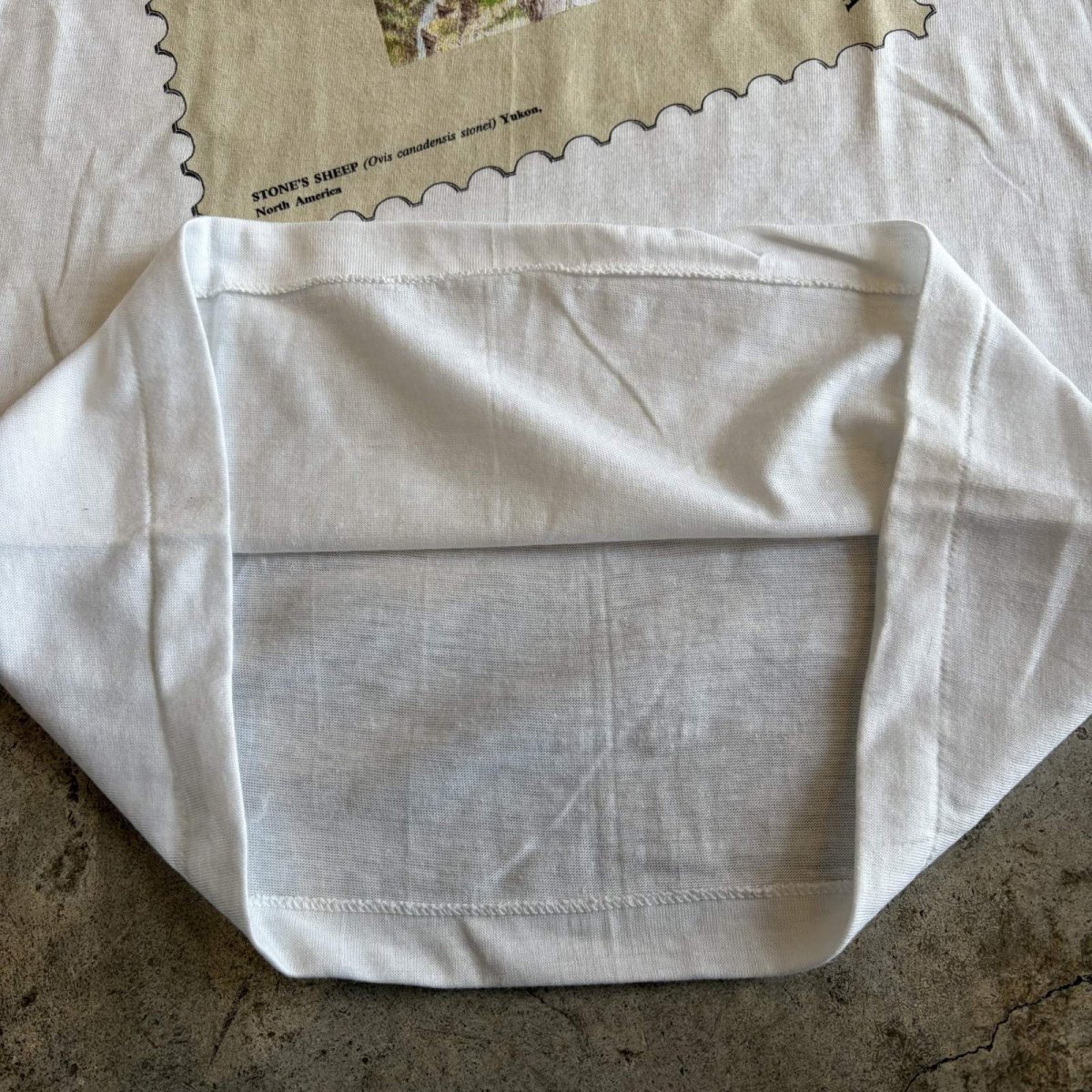 画像6: STONE'S SHEEP ANIMAL FRONT PRINTED S/S TEE / Ladies S (6)
