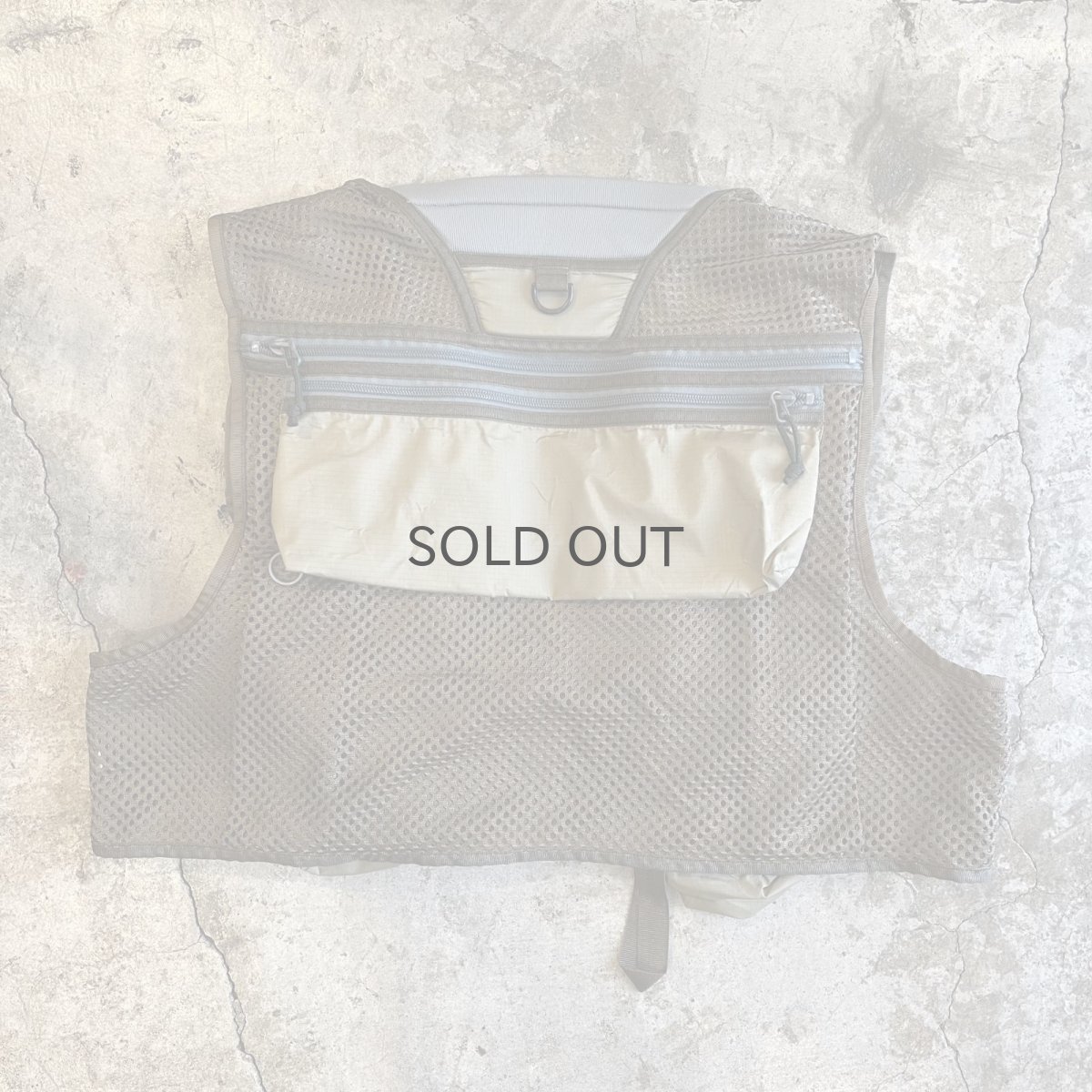 画像2: 【PATAGONIA】MESH MASTER II VEST  / Ladies L(M) (2)