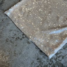 画像5: ALL OVER SEQUINS EMBROIDERY MINI DESIGN SKIRT / W26~W29(S) (5)