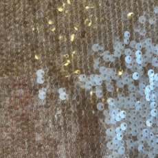 画像9: ALL OVER SEQUINS EMBROIDERY MINI DESIGN SKIRT / W26~W29(S) (9)