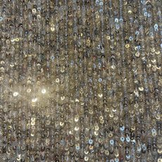 画像10: ALL OVER SEQUINS EMBROIDERY DESIGN SKIRT / W29~W34(M) (10)