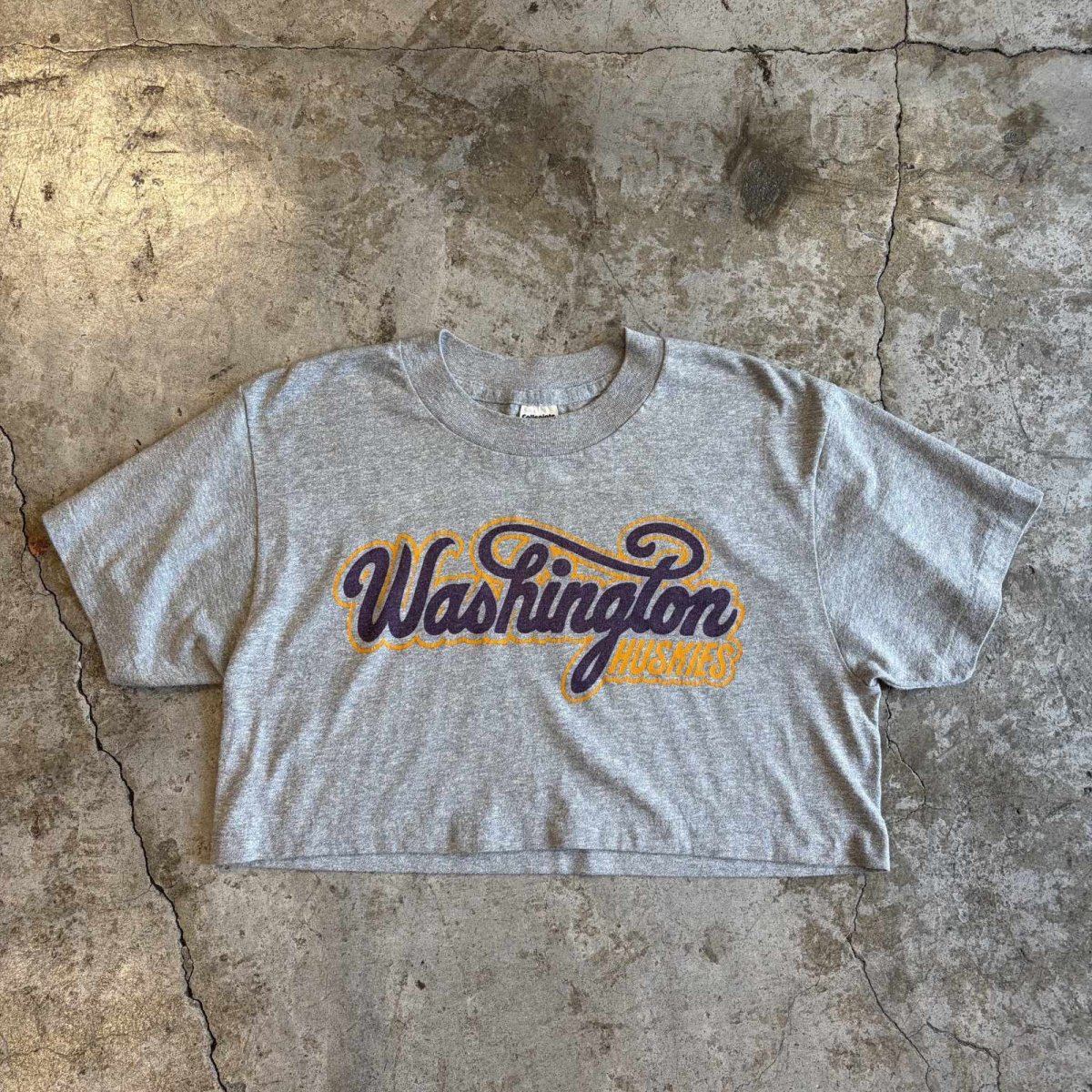 画像1: UNIVERSITY PRINT SHORT DESIGN S/S TEE / Ladies M / MADE IN USA (1)