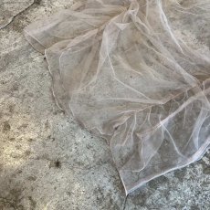 画像4: BEIGE COLOR FRONT SHARRING DESIGN TULLE S/S TOPS / Ladies M (4)