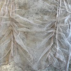 画像8: BEIGE COLOR FRONT SHARRING DESIGN TULLE S/S TOPS / Ladies M (8)