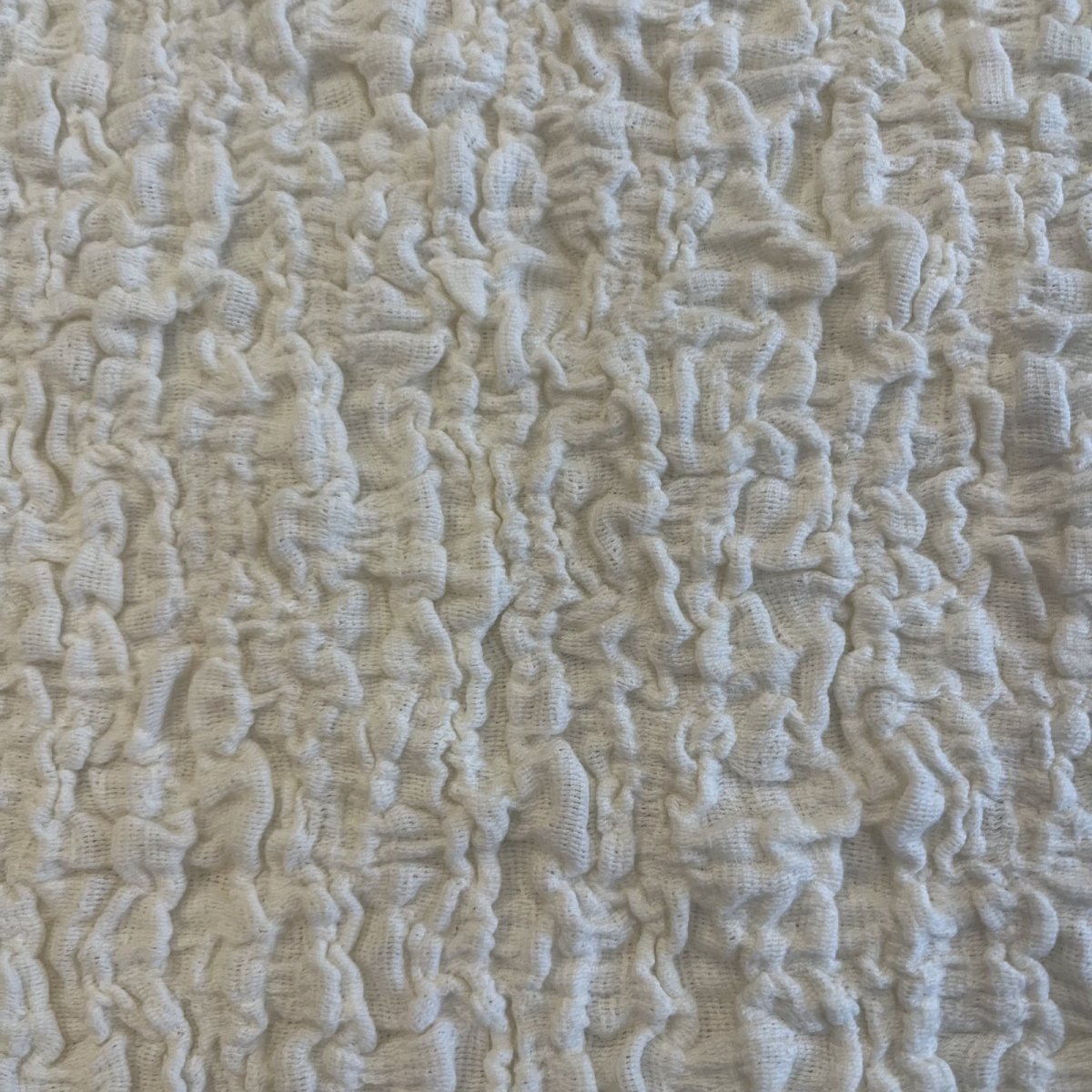 画像10: IVORY COLOR EMBOSS PATTERN S/S TOPS / Ladies M (10)