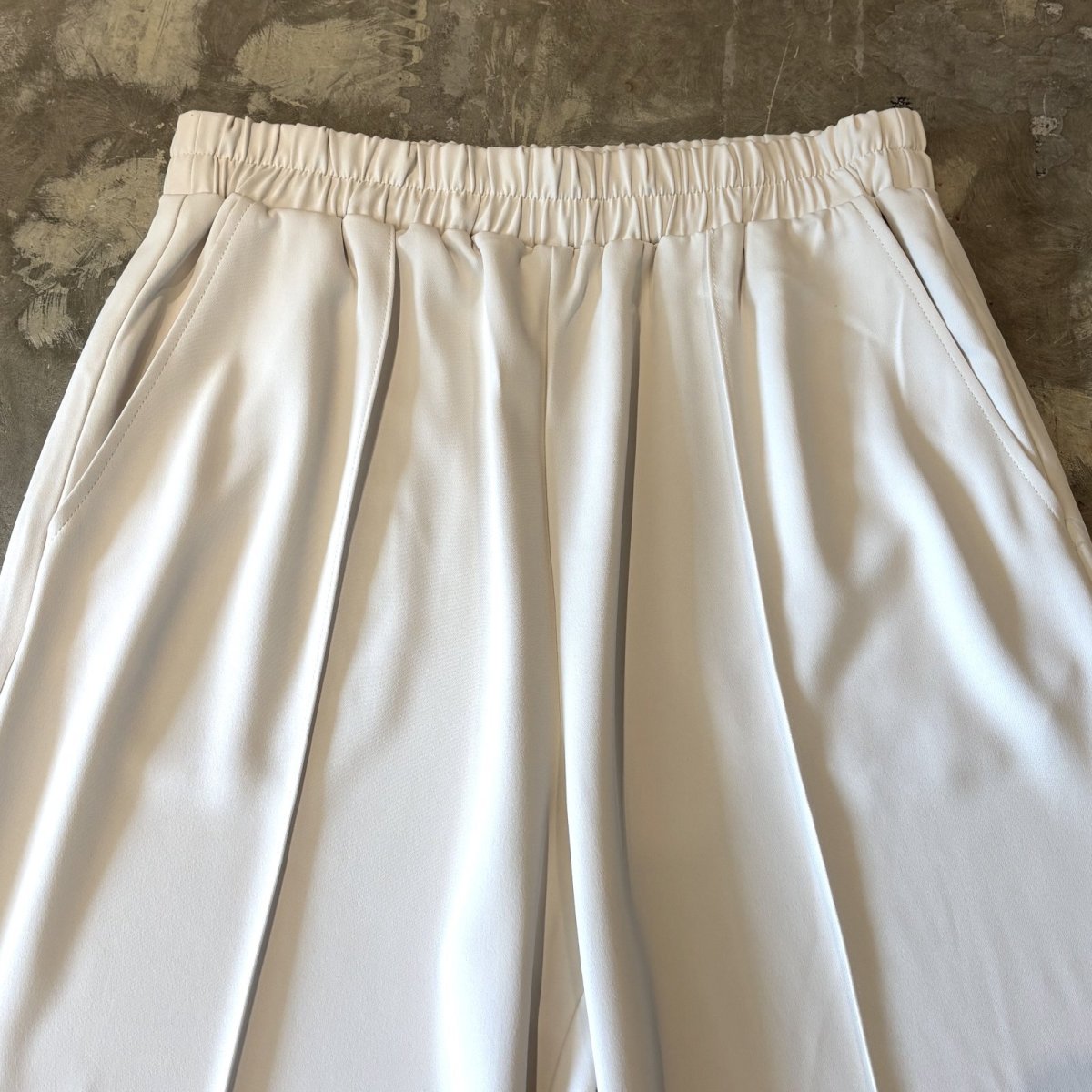 画像10: MONOTONE WIDE SILHOUETTE PANTS / W27~FREE (10)