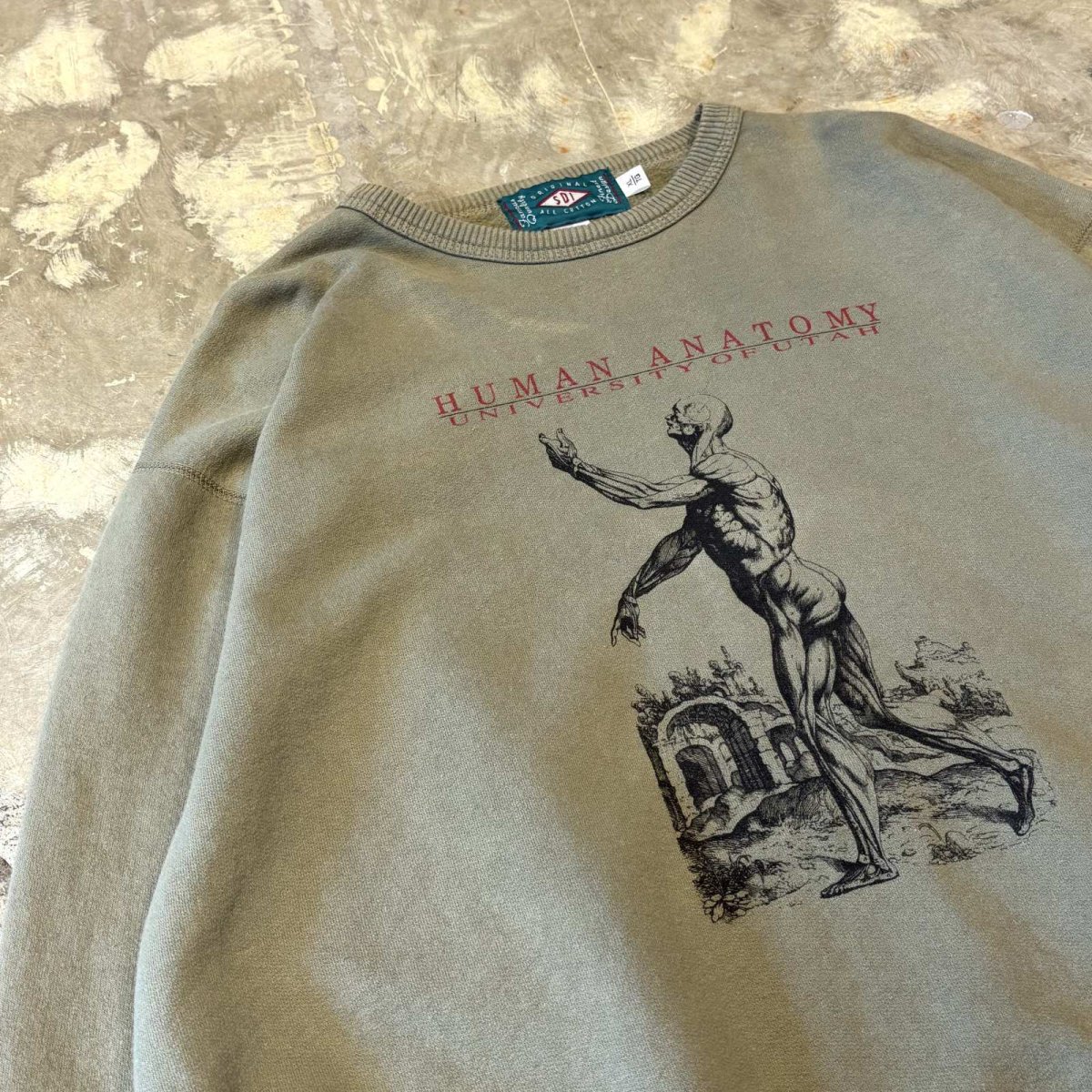 画像3: "HUMAN ANATOMY" ART PRINTED SWEAT / Mens XL (3)