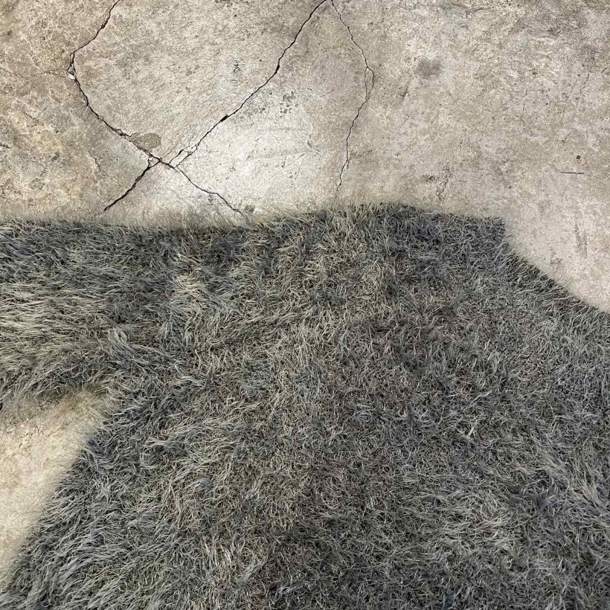 画像10: KHAKI COLOR DESIGN SHAGGY KNIT L/S TOPS / Ladies M(S) (10)