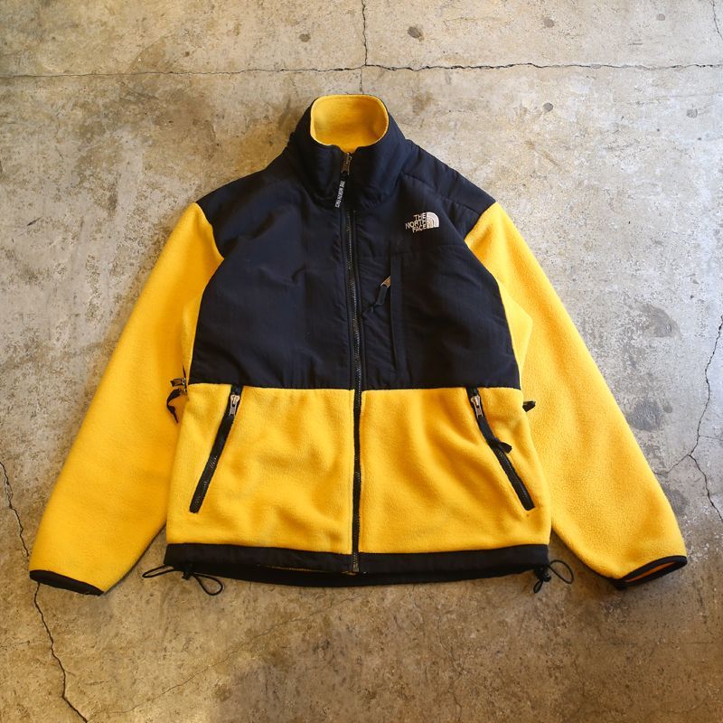 the north face polartec jacket